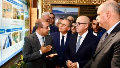 Photo de Développement durable et innovation agricole : les objectifs de la 13ème édition du SIDATTES