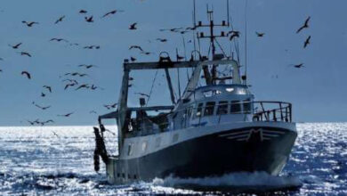 Photo de Coopération : le Sénégal revendique l’initiative de la fin de l’accord de pêche avec l’UE