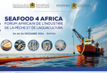 Photo de Industrie de la pêche : le Forum «Seafood 4 Africa 2024» en décembre à Dakhla