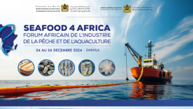 Photo de Industrie de la pêche : le Forum «Seafood 4 Africa 2024» en décembre à Dakhla