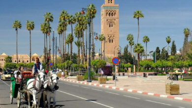 Photo de Marrakech-Safi : la dynamique économique toujours sur la pente ascendante