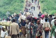 Photo de Génocide au Rwanda : recours des parties civiles dans l’enquête sur l’armée française à Bisesero