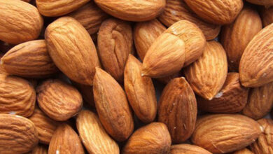 Photo de Agroalimentaire : importations record d’amandes