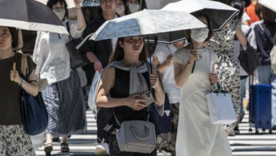 Photo de Chine : 2024 a été l’année la plus chaude jamais enregistrée