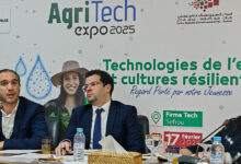 Photo de AgriTech Expo 2025 : Sefrou au cœur de la révolution agricole durable