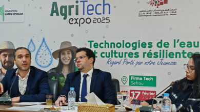 Photo de AgriTech Expo 2025 : Sefrou au cœur de la révolution agricole durable