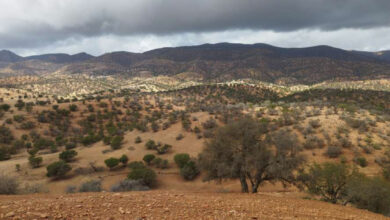 Photo de Edito. Patrimoine en péril