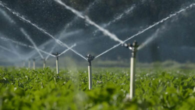 Photo de Eau d’irrigation : à Chtouka, un nouveau modèle de gouvernance