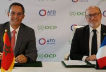 Photo de Partenariat stratégique entre OCP et AFD pour une agriculture verte