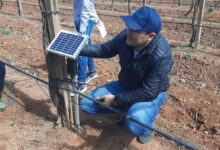 Photo de Agriculture de précision : les enjeux d’une transformation inévitable pour le Maroc