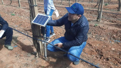 Photo de Agriculture de précision : les enjeux d’une transformation inévitable pour le Maroc