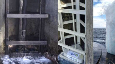 Photo de Décarbonation : l’énergie des vagues, nouveau-né du mix énergétique ?