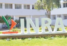 Photo de Partenariat stratégique entre l’INRA et Syngenta pour une agriculture durable au Maroc