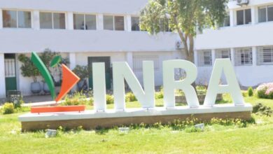 Photo de Partenariat stratégique entre l’INRA et Syngenta pour une agriculture durable au Maroc