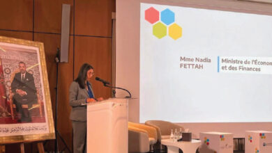 Photo de Modernisation des Etablissements et entreprises publics : comment le Maroc intègre les lignes directrices de l’OCDE