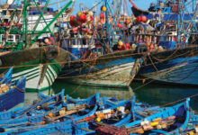 Photo de Pêche artisanale et côtière : des produits en baisse et plus chers !