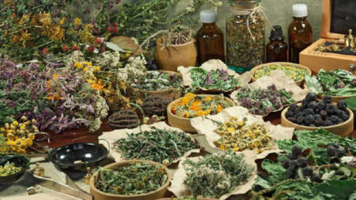 Photo de Plantes médicinales et aromatiques : le congrès de Fès pose les jalons d’une stratégie nationale