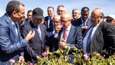 Photo de Rose à parfum : une production annuelle de 4.100 tonnes