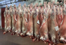 Photo de Viande rouge : les tensions sur les prix persistent à la veille de l’Aïd