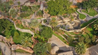 Photo de Zoo d’Ain Sebaa : les travaux de mise à niveau bientôt lancés