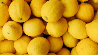 Photo de Exportations de citrons : une saison bien juteuse s’annonce