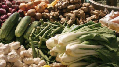 Photo de Coûts de l’alimentation saine : le Maroc affiche l’une des factures  les moins salées du continent