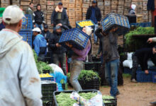 Photo de Conjoncture : rebond attendu des services et stabilité confirmée pour le commerce de gros