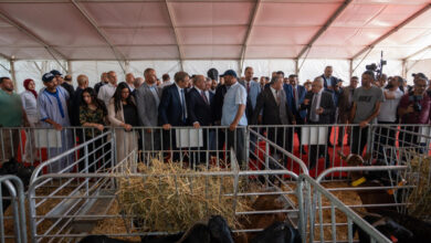Photo de Chefchaouen : la Foire régionale des caprins ouvre ses portes