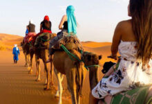 Photo de Tourisme national : des défis structurels persistants