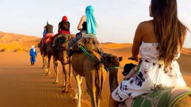 Photo de Tourisme national : des défis structurels persistants