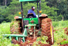 Photo de Agro-industrie : favoriser l’émergence d’acteurs locaux