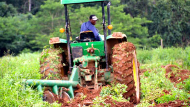 Photo de Agro-industrie : favoriser l’émergence d’acteurs locaux