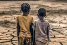 Photo de Afrique : le coût de l’inaction climatique