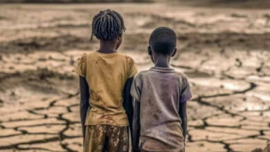 Photo de Afrique : le coût de l’inaction climatique