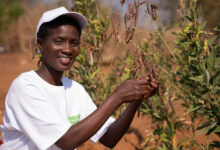 Photo de Coopération Sud-Sud : la Fondation OCP exporte son modèle d’appui à l’économie solidaire
