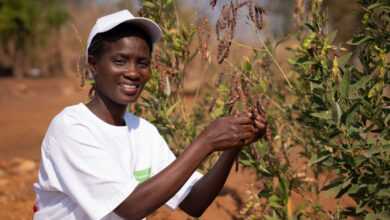 Photo de Coopération Sud-Sud : la Fondation OCP exporte son modèle d’appui à l’économie solidaire