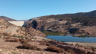 Photo de Terres du Saïss : le projet de sauvegarde devient réalité
