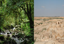 Photo de Patrimoine en péril : trois sites africains retirés de la liste de l’UNESCO
