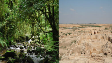 Photo de Patrimoine en péril : trois sites africains retirés de la liste de l’UNESCO