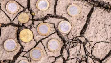 Photo de Urgence climatique en Afrique : cinq secteurs stratégiques et quatre leviers pour combler le déficit de 140 milliards $
