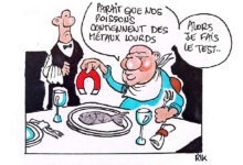 Photo de Plastiques et métaux lourds : le maquereau et le saint-pierre marocains contaminés ?