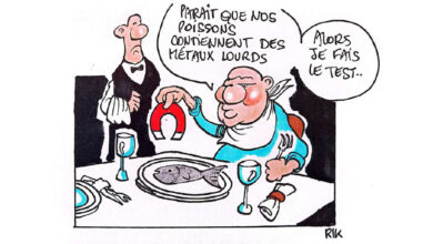 Photo de Plastiques et métaux lourds : le maquereau et le saint-pierre marocains contaminés ?