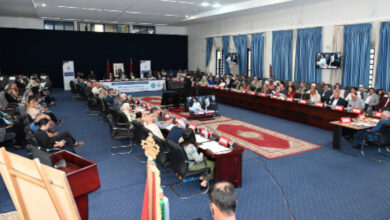 Photo de Souss-Massa : un boost bienvenu pour l’investissement et l’emploi