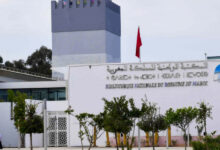 Photo de Patrimoine : la Bibliothèque nationale se réinvente
