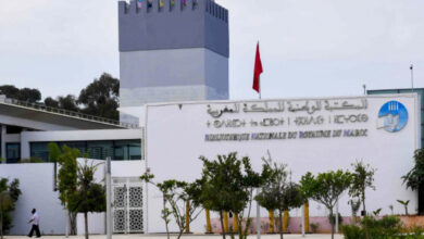 Photo de Patrimoine : la Bibliothèque nationale se réinvente