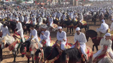 Photo de El Jadida : le moussem Moulay Abdallah Amghar s’ouvre avec une programmation foisonnante