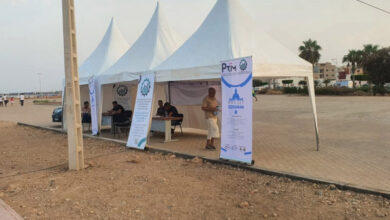 Photo de Investissements de la diaspora : retour sur le projet franco-marocain “PRIM”