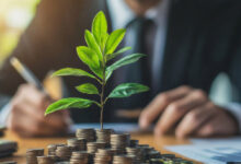 Photo de Programme Cleantech Maroc : vers la structuration des startups et TPE vertes