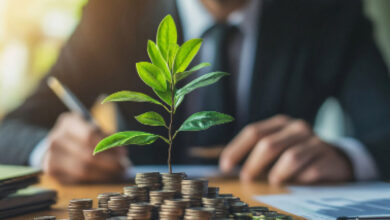 Photo de Programme Cleantech Maroc : vers la structuration des startups et TPE vertes