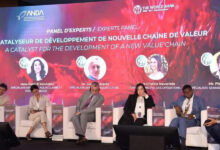 Photo de Économie bleue : l’algoculture, le maillon faible